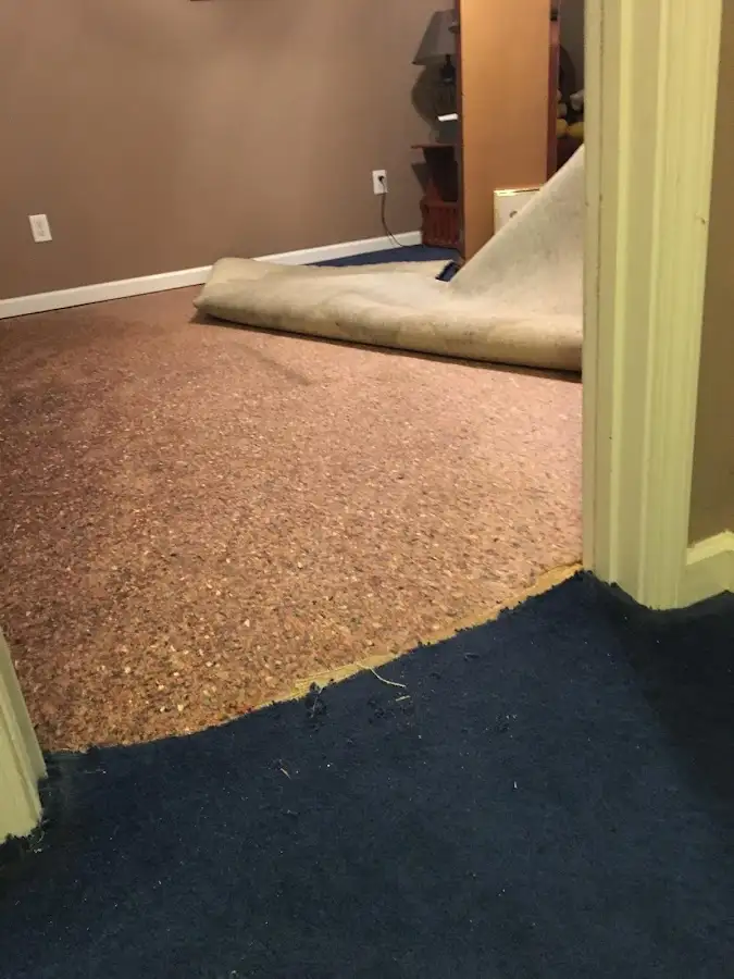 Carpet pad removal revealing water damage during Drying & Dehumidification in North Myrtle Beach